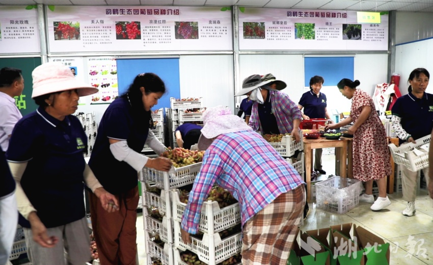 下载app送27元彩金